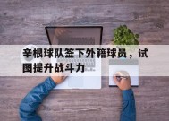 今年会体育网站-辛根球队签下外籍球员，试图提升战斗力(归化球员费南多简介)