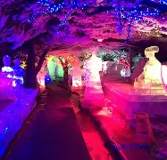关于水晶宫大胜沃特福德，保级前景一片光明的信息