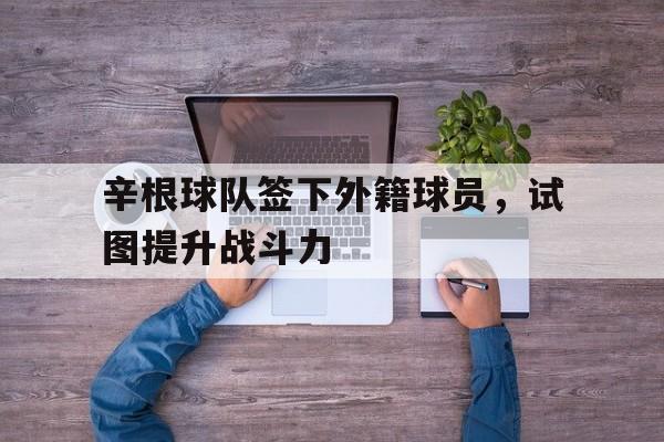 辛根球队签下外籍球员,试图提升战斗力(归化球员费南多简介) 辛根球队签下外籍球员,试图提升战斗力(归化球员费南多简介)